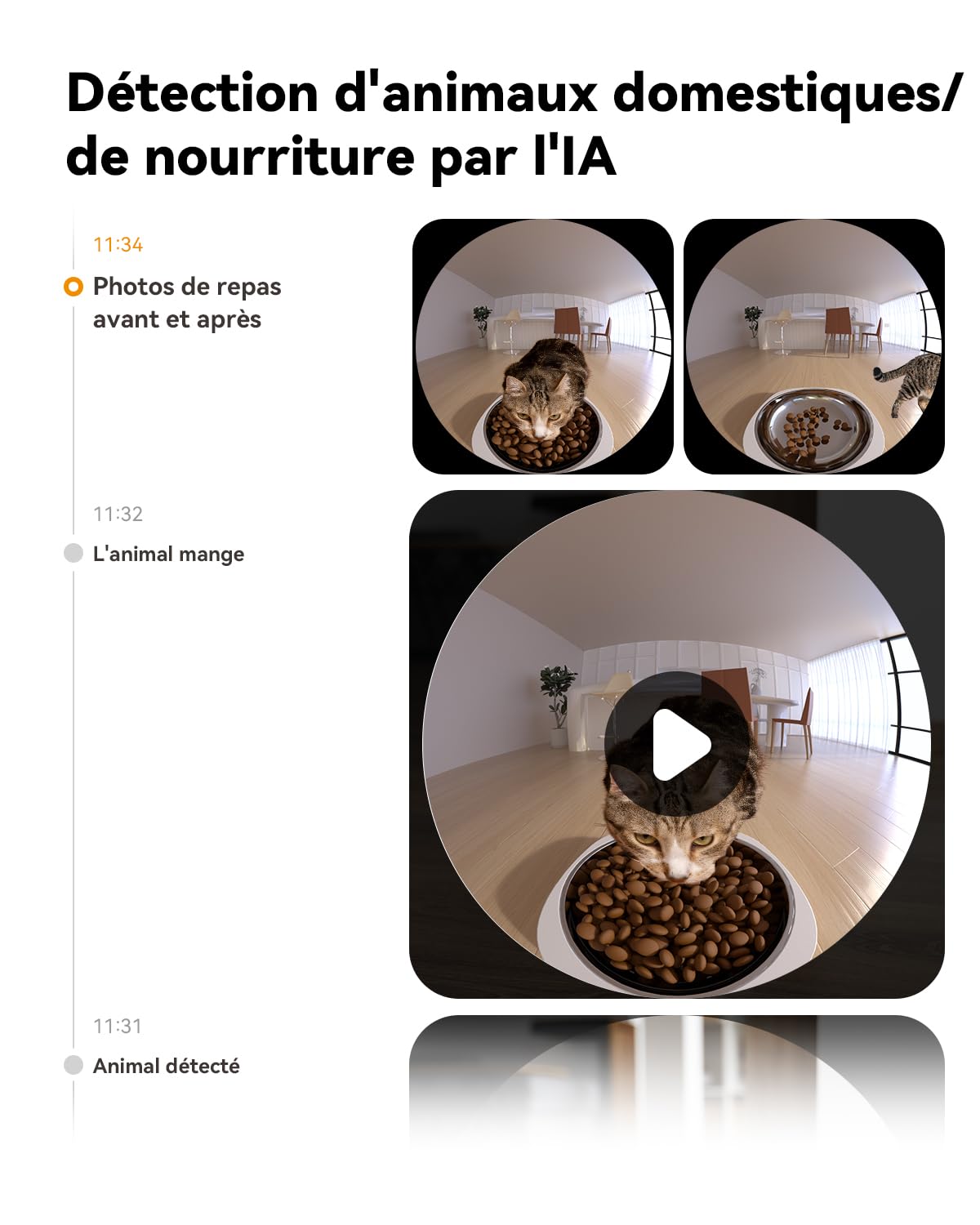 imou-rv1-distributeur-croquettes-chat-automatique-4l-avec-cam-ra-360-4mp image 5