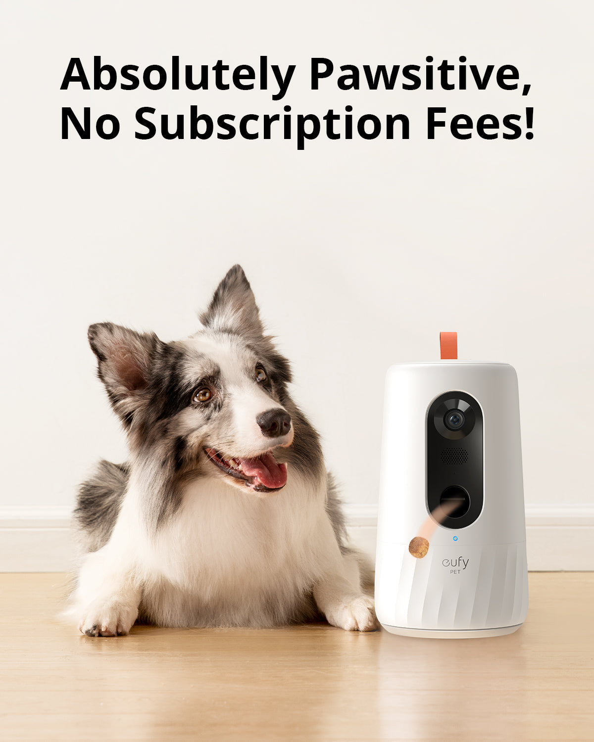 eufy-pet-dog-camera-d605-1080p-avec-distributeur-de-friandises image 4
