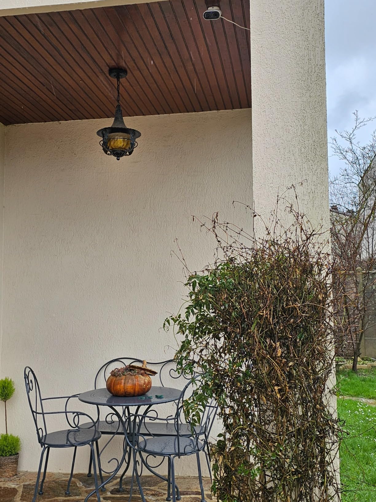 Parfaite pour balcon