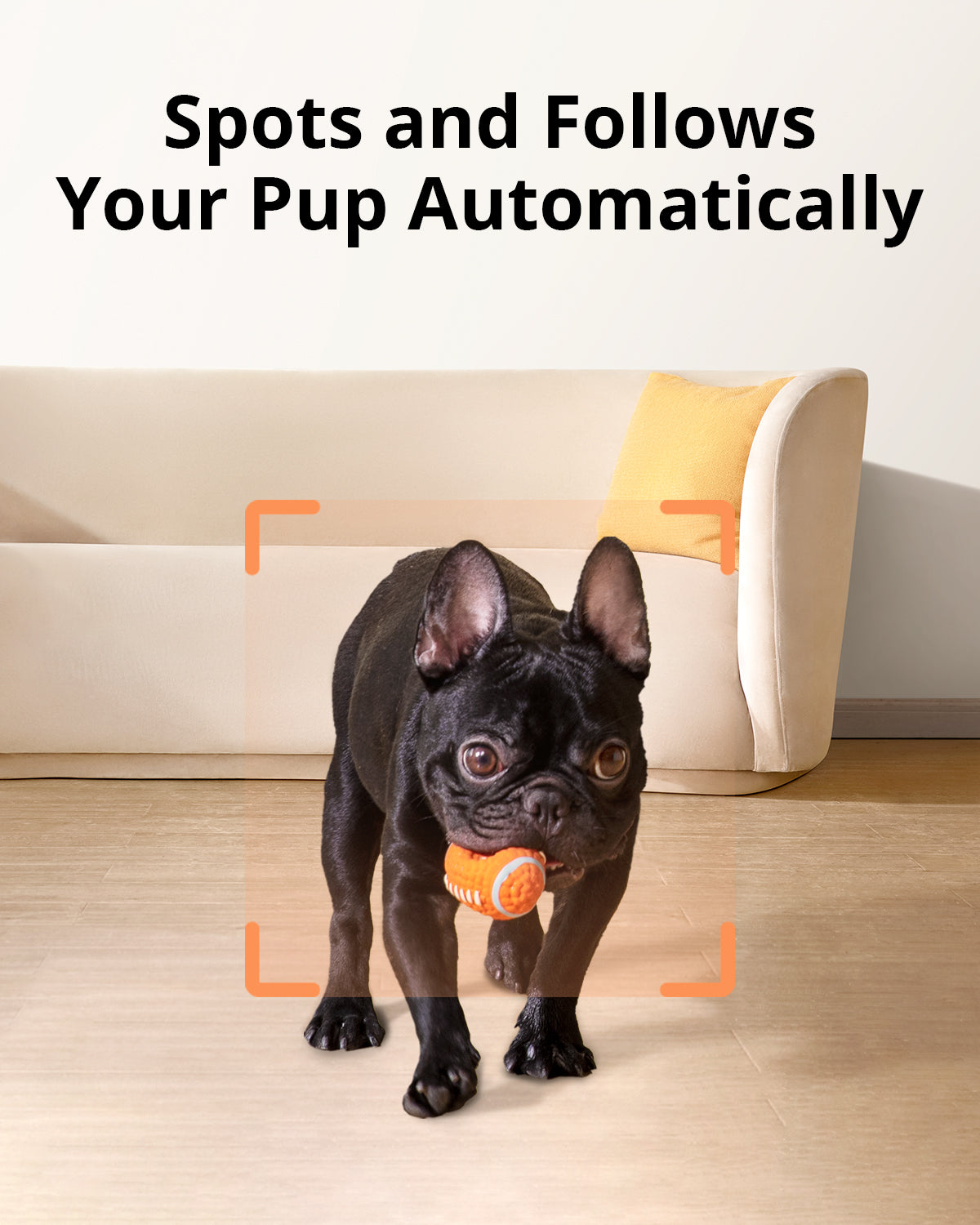 eufy-pet-dog-camera-d605-1080p-avec-distributeur-de-friandises image 3