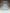 eufy-filtre-air-pour-lave-biberons-lot-de-2-2 image 3