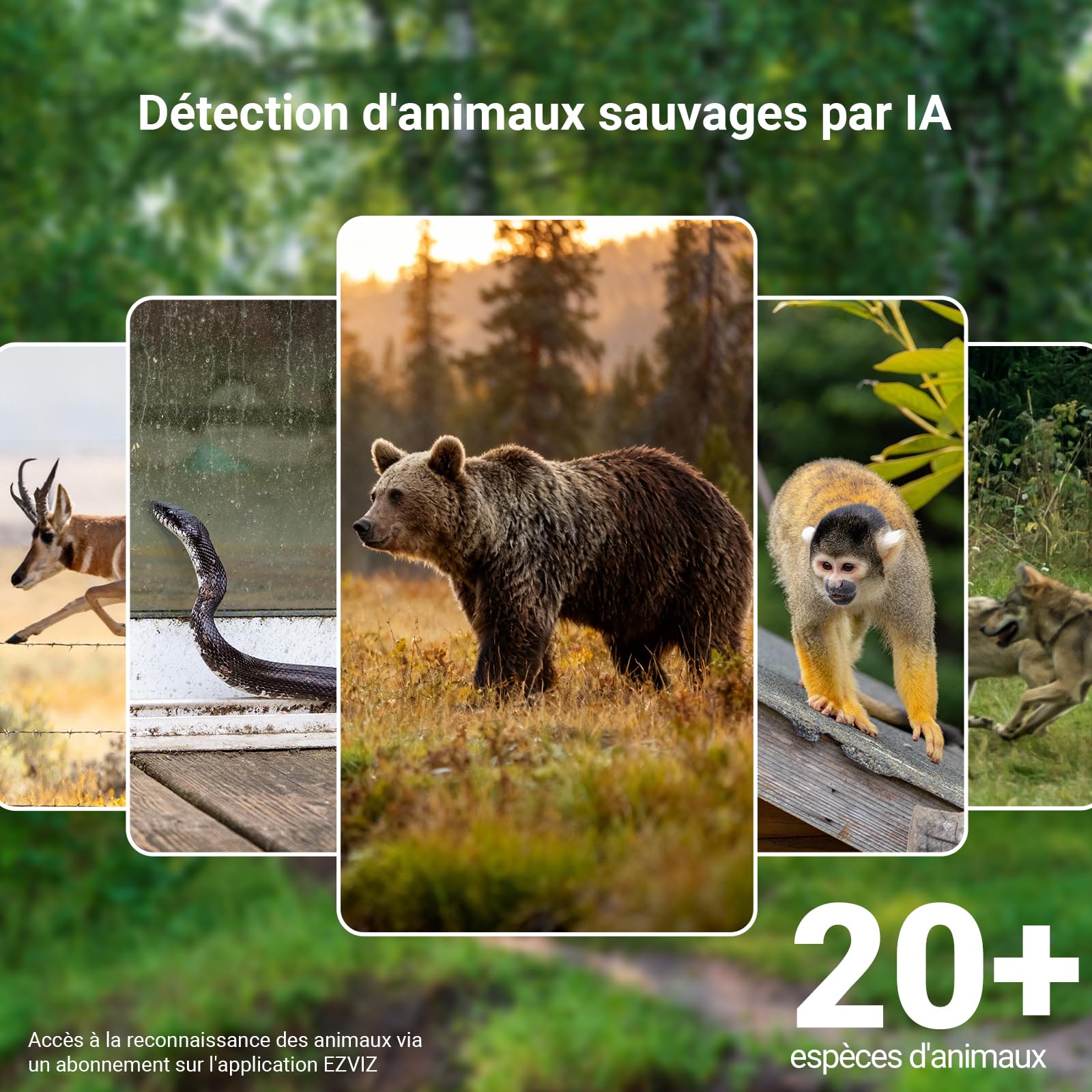 ezviz-eb8-pro-ranger-cam-ra-surveillance-ext-rieure-4k-4g-wifi-panneau-solaire-8 image 4