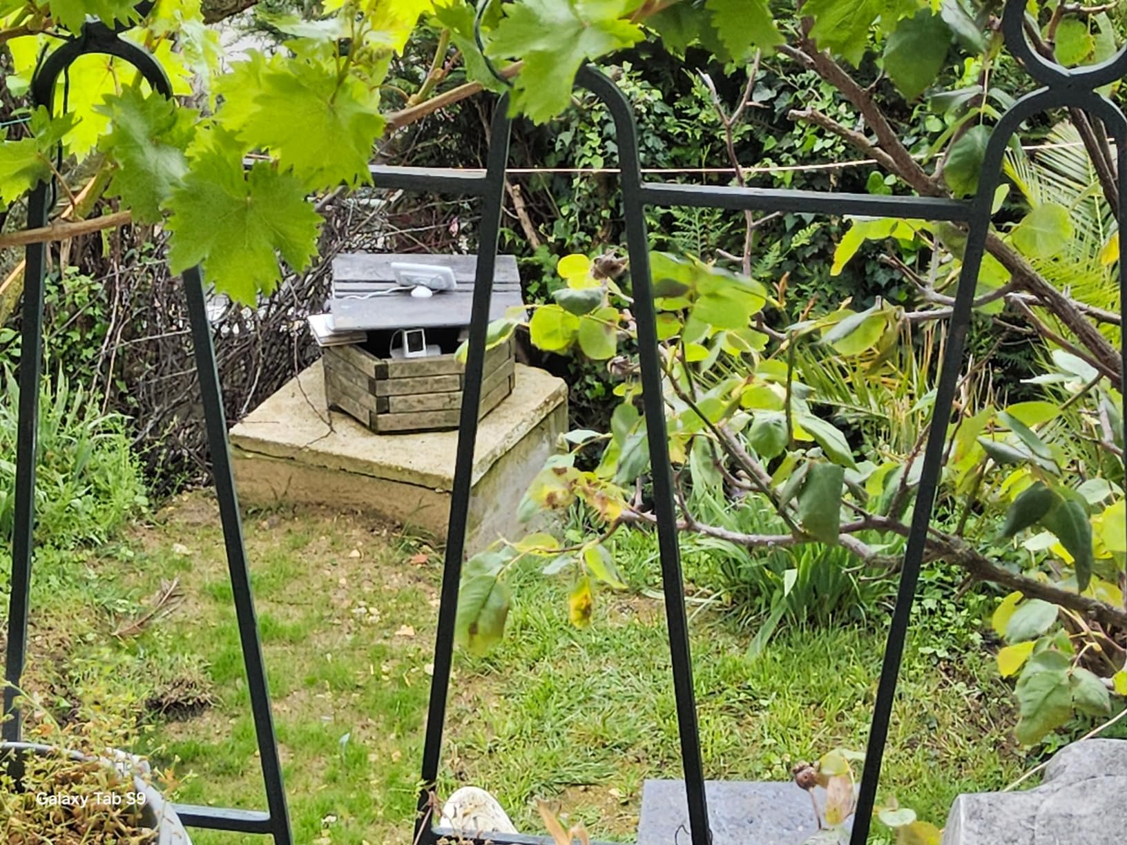 Idéale locataire sans travaux