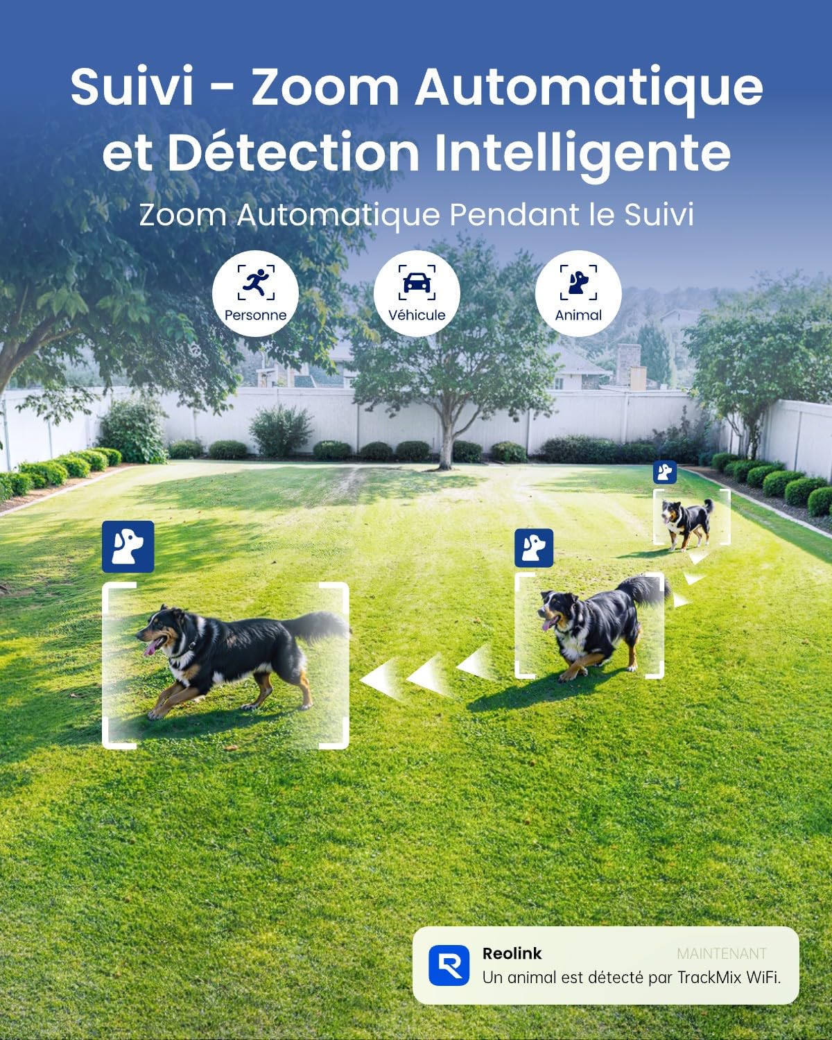 reolink-trackmix-cam-ra-wifi-ext-rieure-4k-double-objectif-zoom-6x-ptz image 4