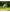 eufy-security-pack-d-marrage-solocam-c210-4-cam-ras-2k image 8