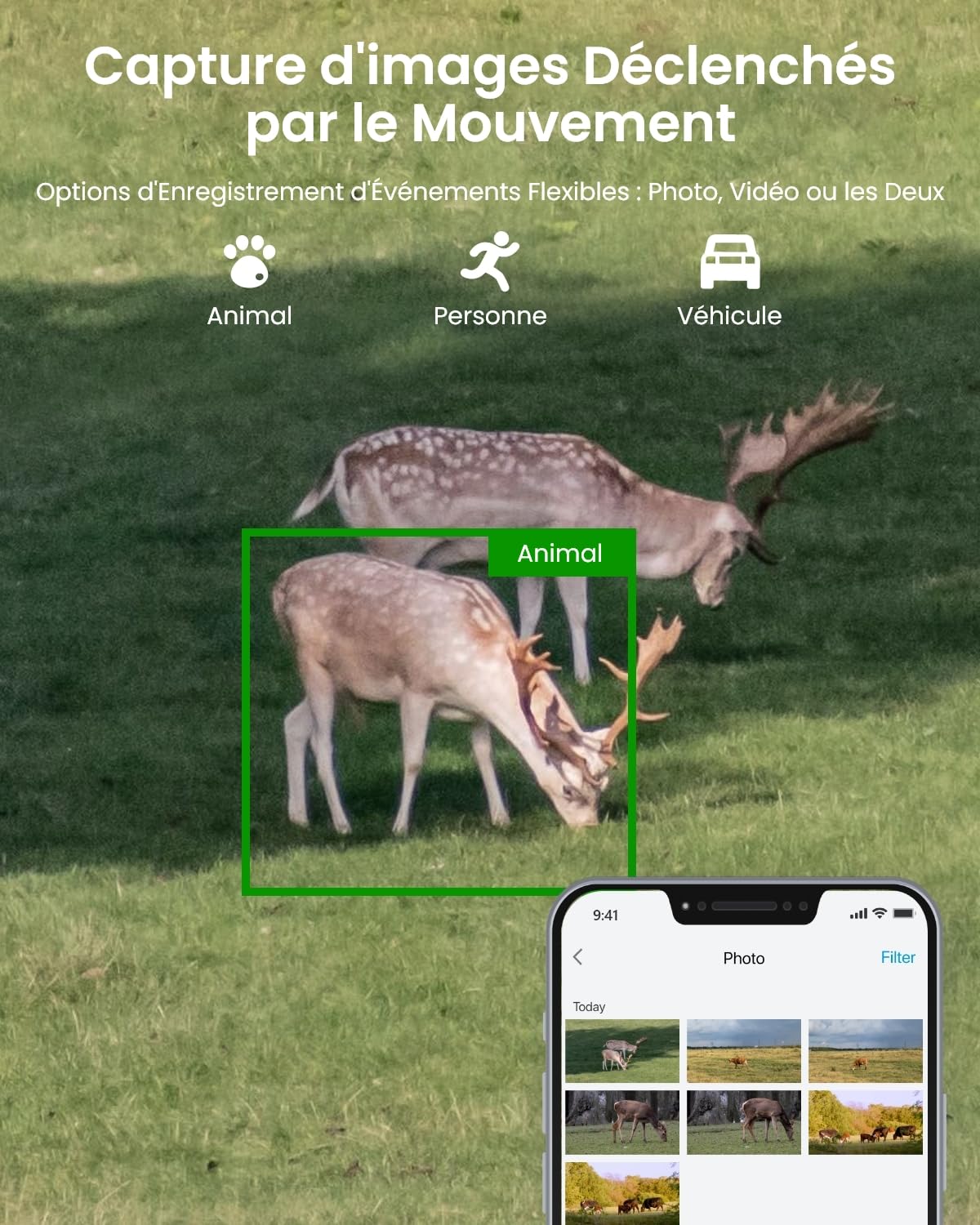 reolink-trackmix-lte-cam-ra-4g-4k-double-objectif-ptz-sans-fil-avec-suivi-automa image 5