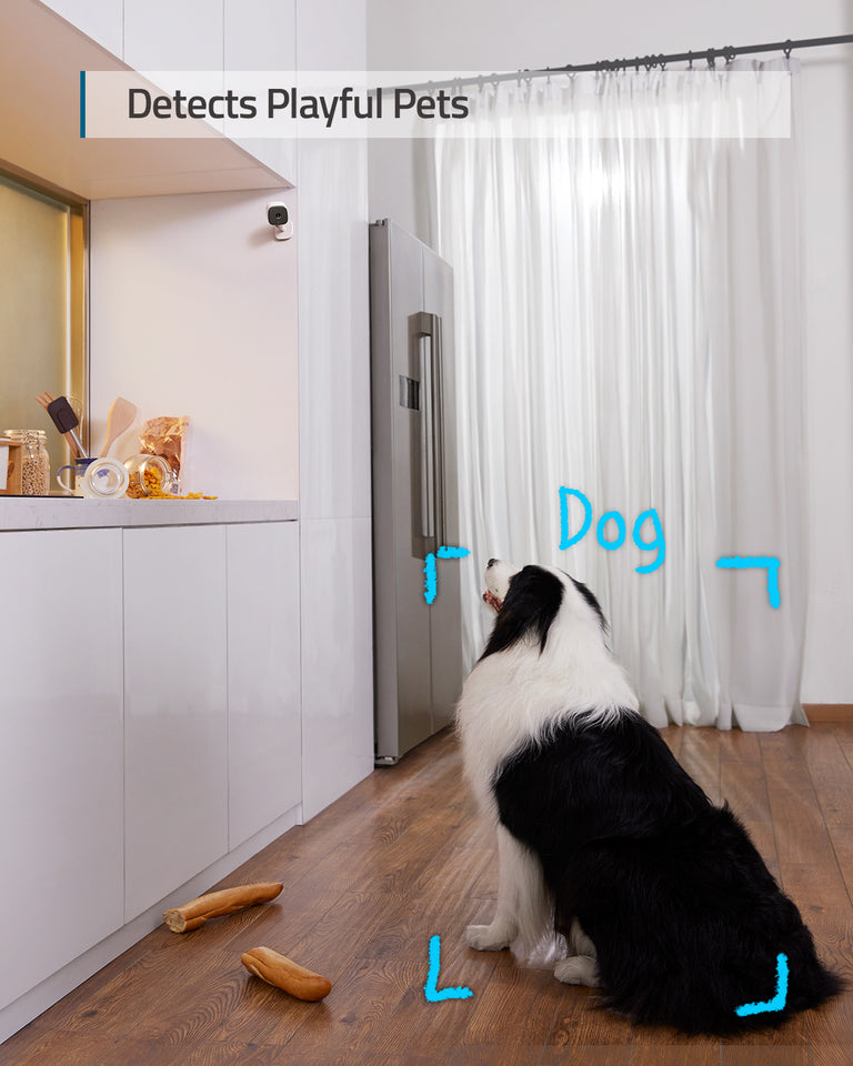 eufy-indoor-cam-2k-cam-ra-de-surveillance-int-rieure-avec-ia-humain-animal image 3