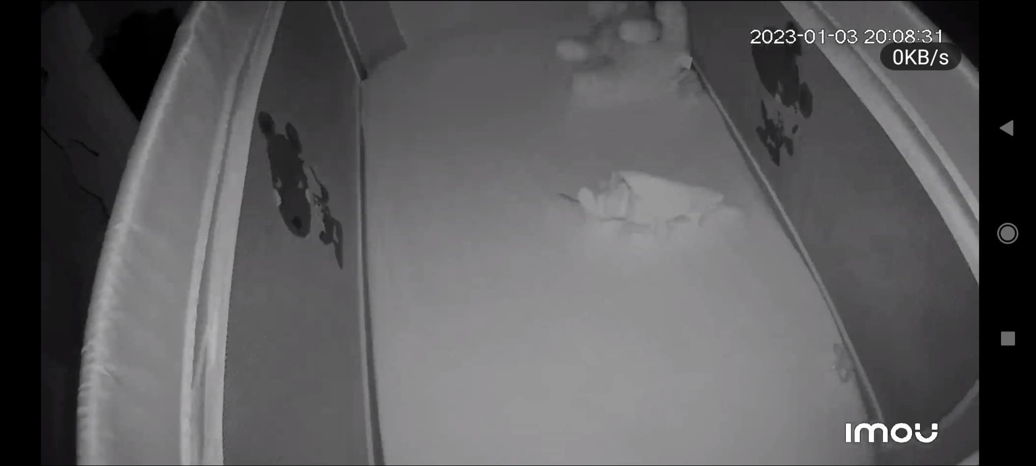 Super pour surveiller mon chat