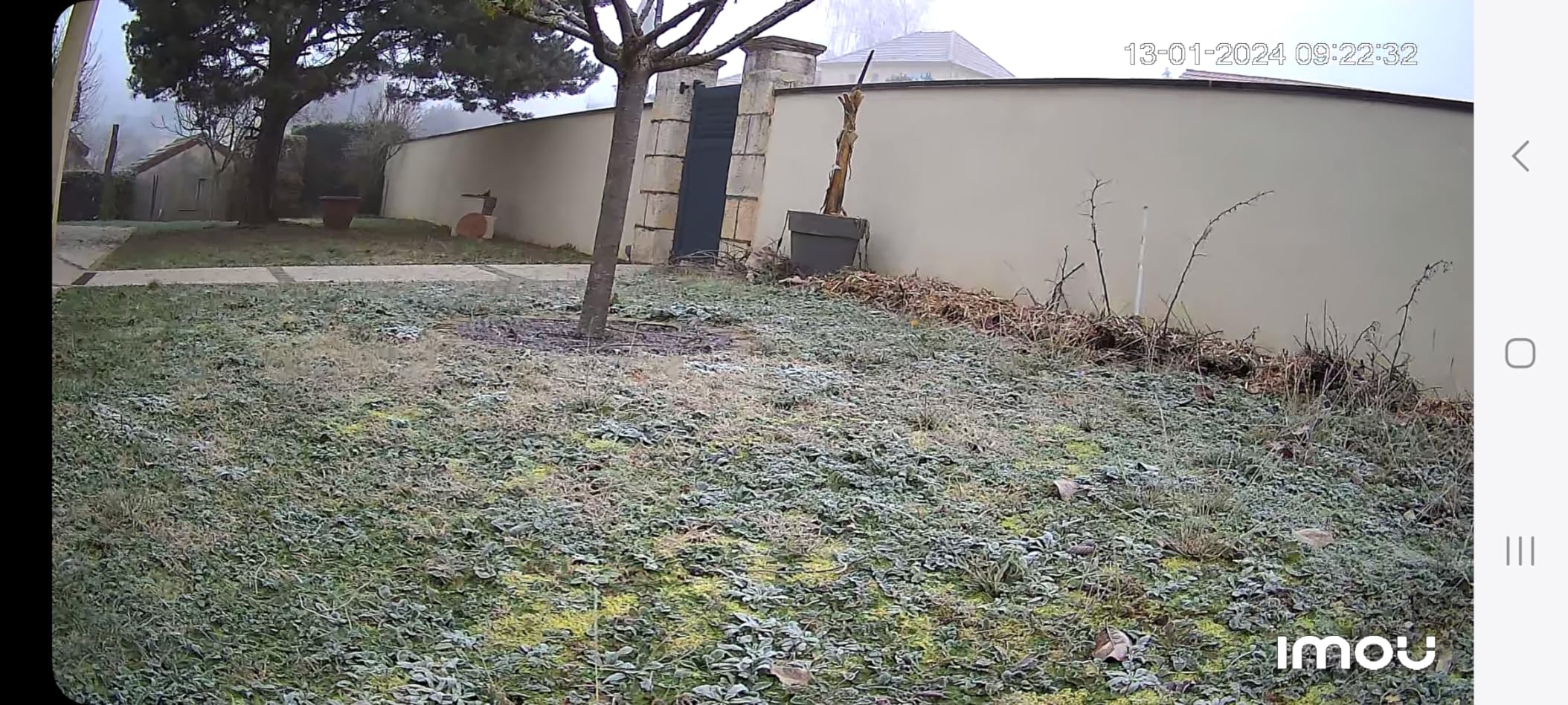 Parfaite pour jardin