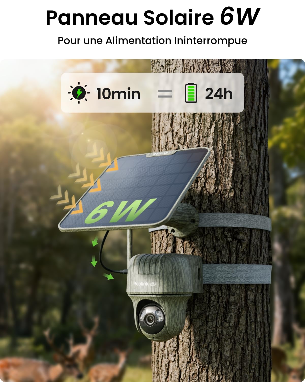 reolink-go-ranger-pt-cam-ra-4g-lte-ext-rieure-4k-solaire-microsd-32-go image 4