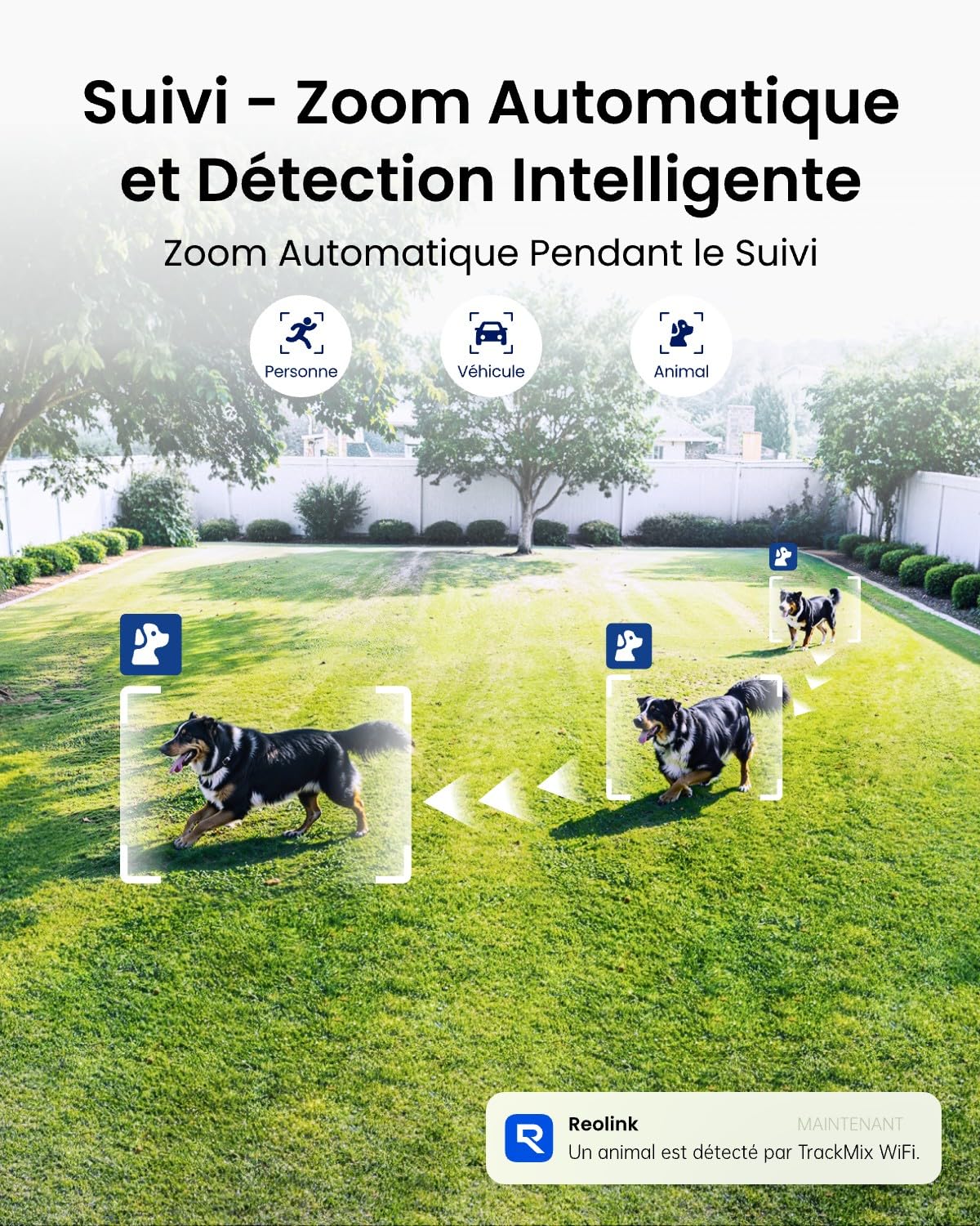 reolink-trackmix-cam-ra-surveillance-wifi-ext-rieure-4k-ptz-double-objectif-s-ri image 4