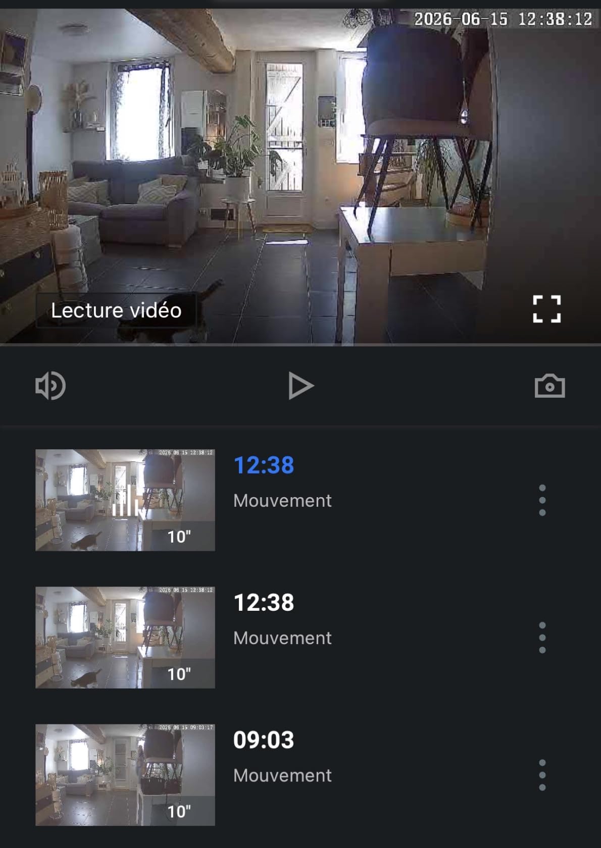 Pratique pour la maison